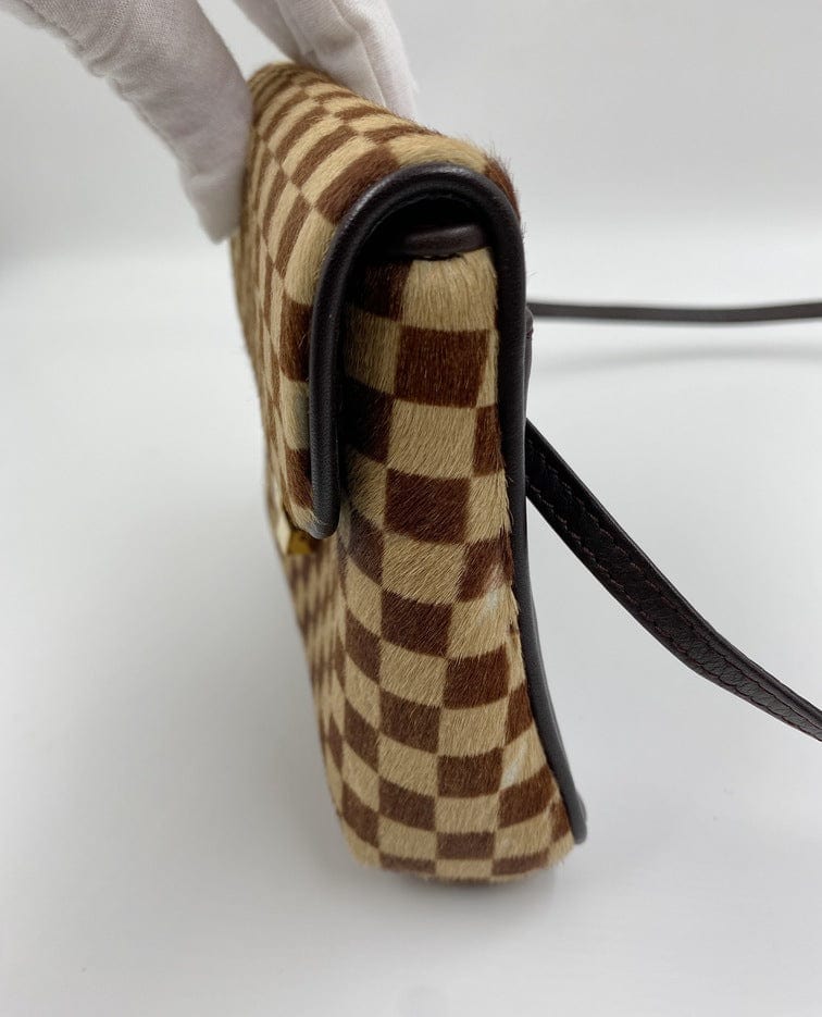 Louis Vuitton Calf Hair Damier Sauvage Gazelle Bumbag Waist Pouch Crossbody  Leather ref.568308 - Joli Closet